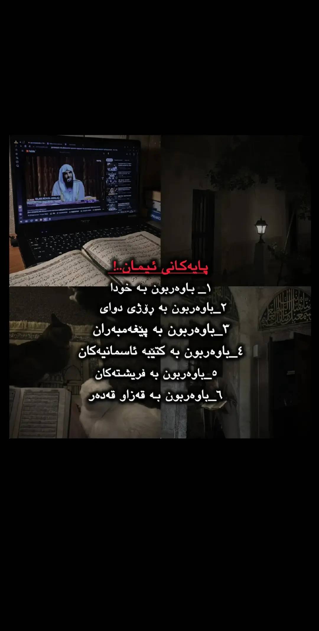 وێنە 3